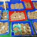 용학초등학교 이미지