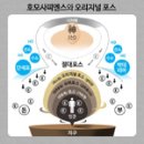 프라임에너지 이미지