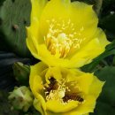 광혜원농장 이미지