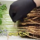 농업회사법인(주)팜앤버드