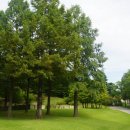 호암미술관 이미지