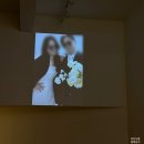 다비 | 결혼준비 19. 밀라드 스튜디오 촬영 솔직후기 I 바이제이, 플라워다비 후기 포함