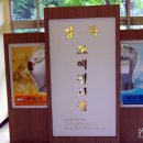 도깨비농촌체험휴양마을 이미지