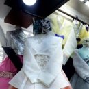 보가주단 이미지