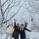 무주 덕유산 레저바이크텔 | 무주 덕유산 곤도라 겨울 여행 후기 | 예약 꿀팁·이용요금·설경 포토스팟·트레킹 루트 완전 정리!