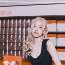 로제(Rose) 네이버블로그
