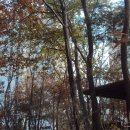 부영5차 이미지