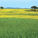 눈뜨면바다 이미지