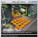 법환동-5 | 제주월드컵경기장 현대농장 귤 5KG 택배 내돈내산 후기