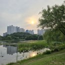 소마덤젤 | 나이 들었다는 말 이제는 안 믿어요. 소마덤젤로 되찾은 활력