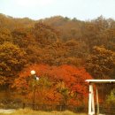 옐로우 펜션 이미지