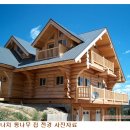 숲속의 통나무집 Daum카페