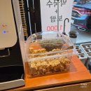 대전 관저 보쌈 맛집 오대리막국수 내돈내산 솔직후기