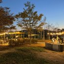 탄금호피크닉공원 2 이미지