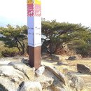 과천시청 이미지