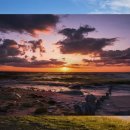 칠포농장 이미지