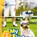 Grammar & Vocabulary 이미지