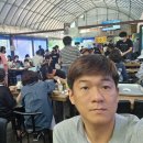 도토리 캠핑장 티스토리