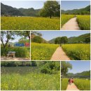 환평약초체험마을 이미지