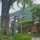 30 | 하동 쌍계사 솔직후기 걷기코스 주차 금액