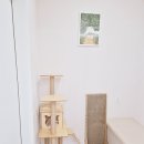 9월의 소원 동물병원 이미지