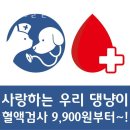 동편동물병원 이미지