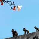 행복구대 이미지