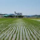 광양농협미곡종합처리장 이미지