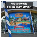부엉마을 | 부산 아쿠아리움 동물의 숲 콜라보 방문후기
