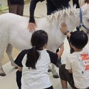 홍家돼지 이미지