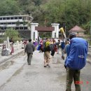 사니조아 이미지