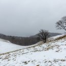 산울림목장 이미지