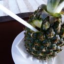 오션블루호텔 이미지