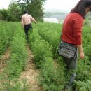 개동농장 이미지