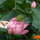 참샘골농원 이미지