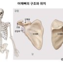 키즈발레 이미지