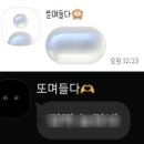 덕정점(포차천국) | 💾끄적끄적 19편