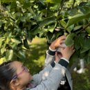 국원유치원 이미지