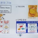 뉴로밸런스 네이버블로그