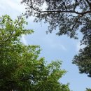 웰빙의원 이미지