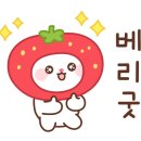 브리슈 이미지