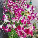 화창한약국 이미지