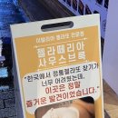 젤라떼리아사우스브룩연산 이미지
