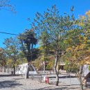 포시즌오토캠핑장 이미지