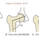 사림동125 이미지