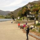 내리계곡로 이미지