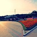 대공원대로, 대공원광장대로 이미지