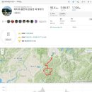팀 미라쥬 배티재-물한재 운동벙 후기