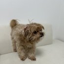 메이그루밍 이미지