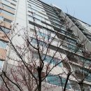 이미경미용실 이미지